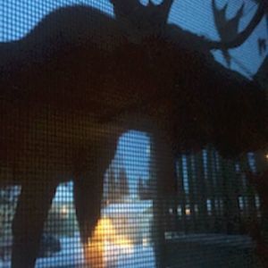 Meet your Posher, Sue